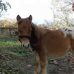Strada Dei Monti Sibillini 4*