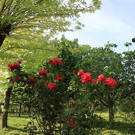 Strada Dei Monti Sibillini Oda ve Kahvaltı Montefortino