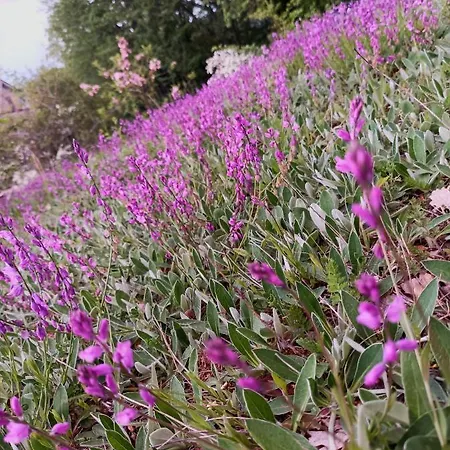 Strada Dei Monti Sibillini 4* Montefortino