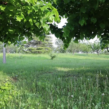 Strada Dei Monti Sibillini Bed & Breakfast