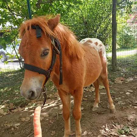 Strada Dei Monti Sibillini Oda ve Kahvaltı