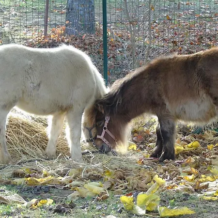 Strada Dei Monti Sibillini 4* Montefortino