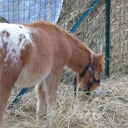 Strada Dei Monti Sibillini Oda ve Kahvaltı 4*