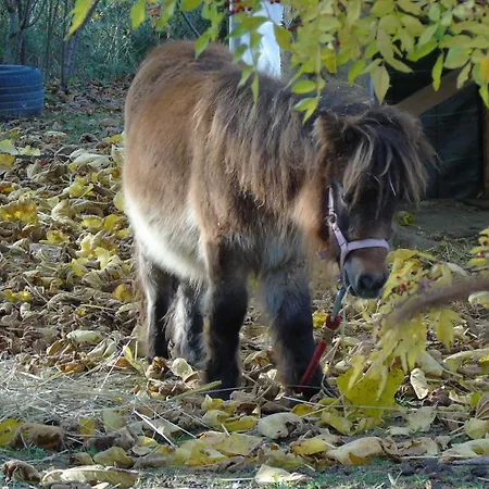 Bed & Breakfast Strada Dei Monti Sibillini 4*