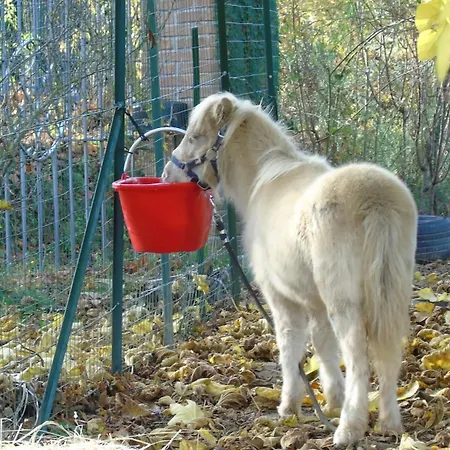 Strada Dei Monti Sibillini Oda ve Kahvaltı Montefortino