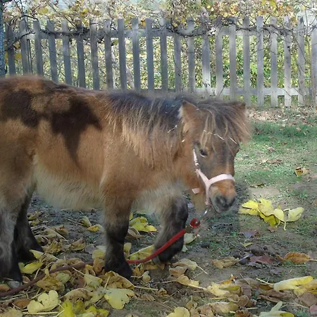 Oda ve Kahvaltı Strada Dei Monti Sibillini Montefortino