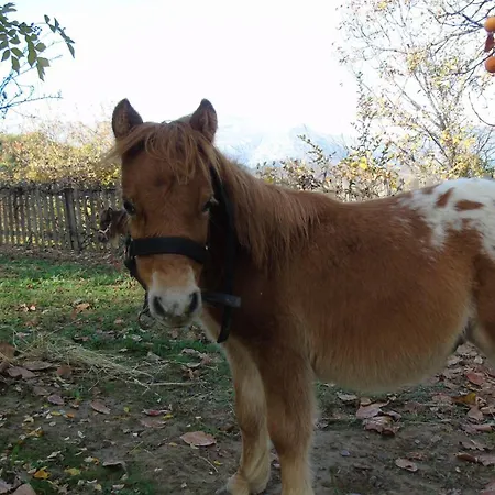 Strada Dei Monti Sibillini 4*