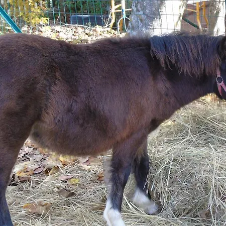 Strada Dei Monti Sibillini Montefortino