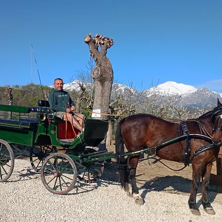 Strada Dei Monti Sibillini Bed & Breakfast 4*